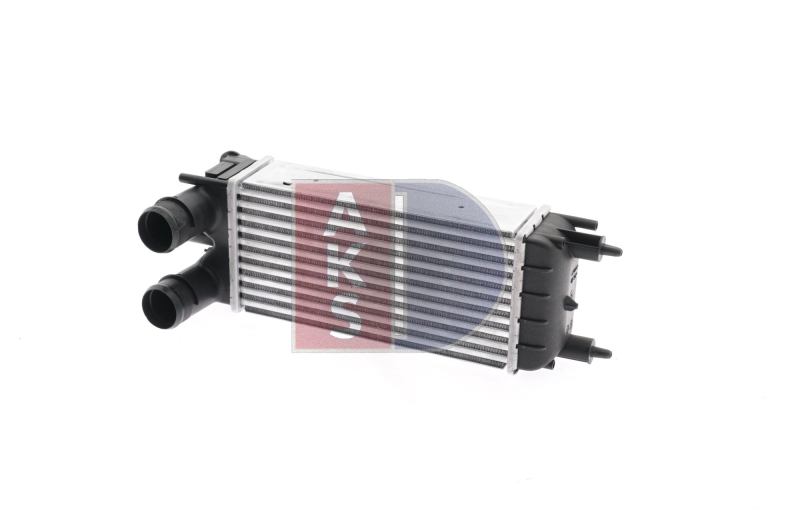 AKS DASIS Intercooler, charger