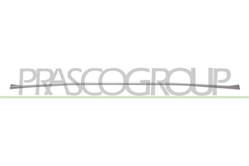 Trim/Protective Strip, bumper