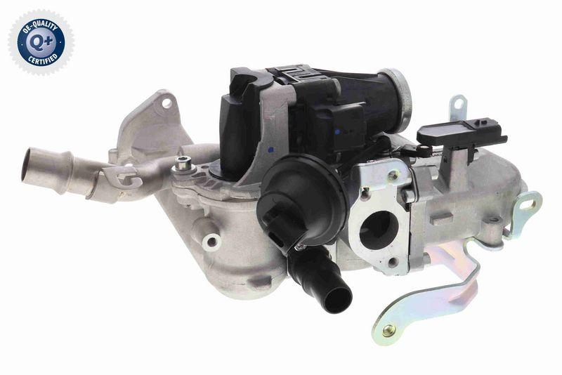 VEMO EGR Valve Q+, original equipment manufacturer quality MADE IN GERMANY