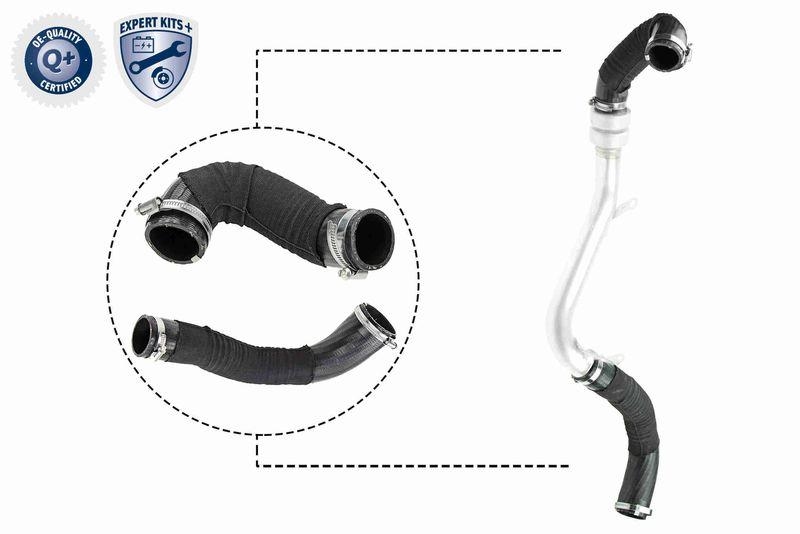 VAICO Charger Air Hose EXPERT KITS +