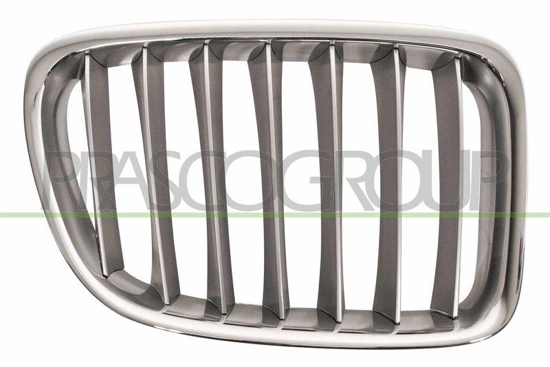 Radiator Grille