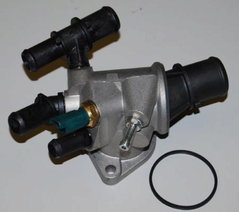 BorgWarner (Wahler) Thermostat, coolant