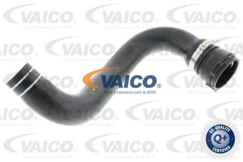 VAICO Radiator Hose Q+, original equipment manufacturer quality