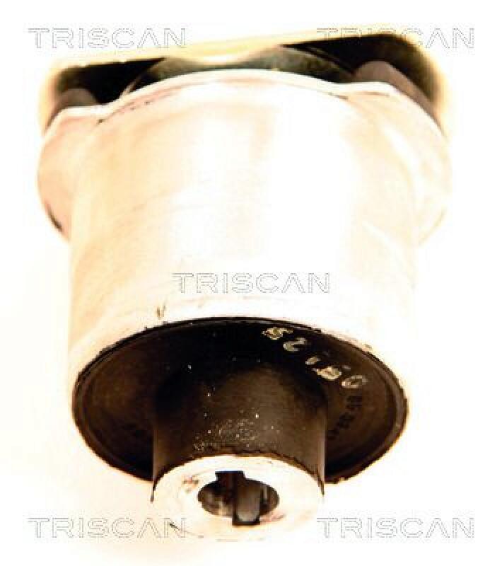 TRISCAN Mounting, axle beam