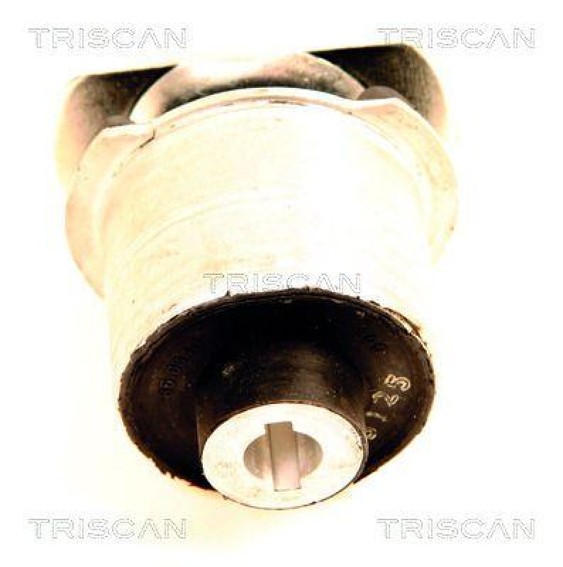 TRISCAN Mounting, axle beam