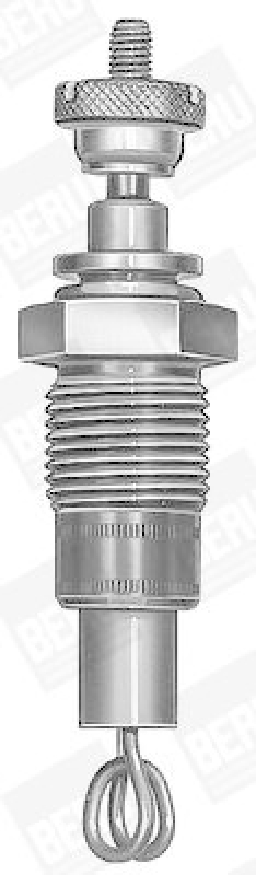 BorgWarner (BERU) Glühkerze