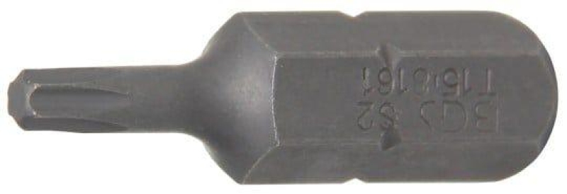 BGS Screwdriver Bit