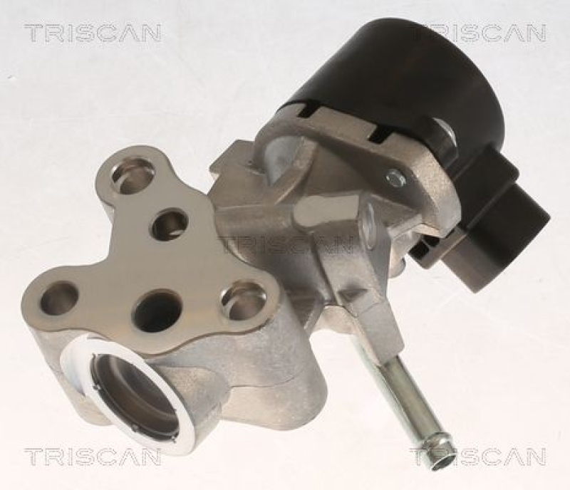 TRISCAN AGR-Ventil 8813 13069