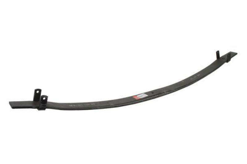 Magnum Technology Spring Leaf
