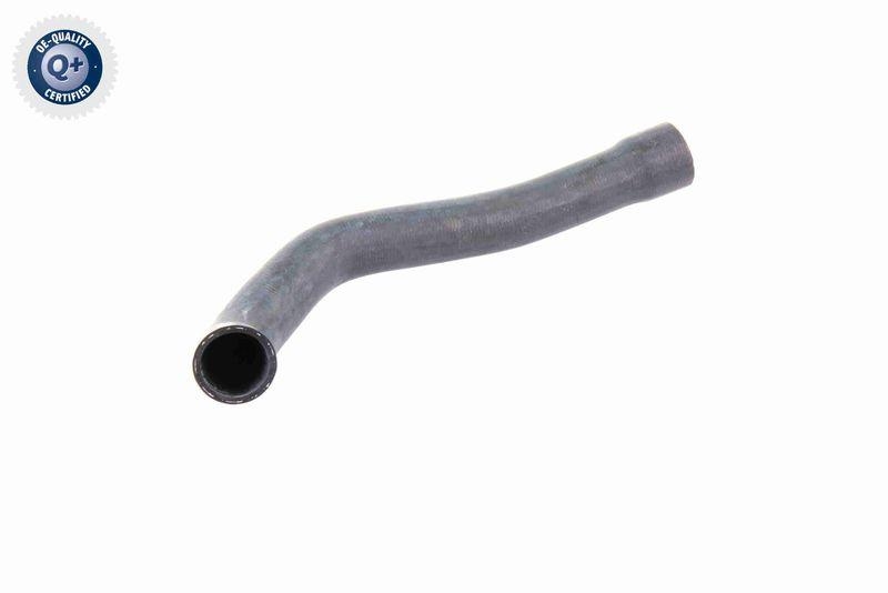 VAICO Radiator Hose Q+, original equipment manufacturer quality