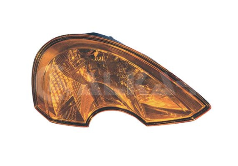 Blinkleuchte Blinker 2106211