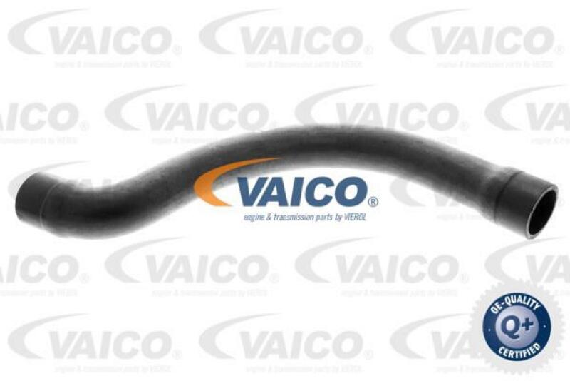 VAICO Kühlerschlauch Q+, Erstausrüsterqualität