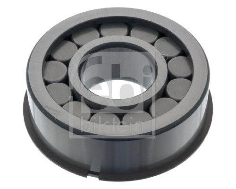 FEBI BILSTEIN Lager, Differential 100673