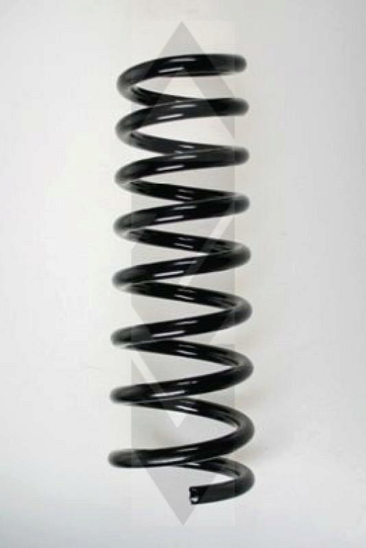 SPIDAN Suspension Spring