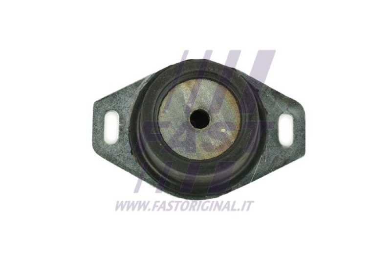 FAST Lagerung, Motor FT52579