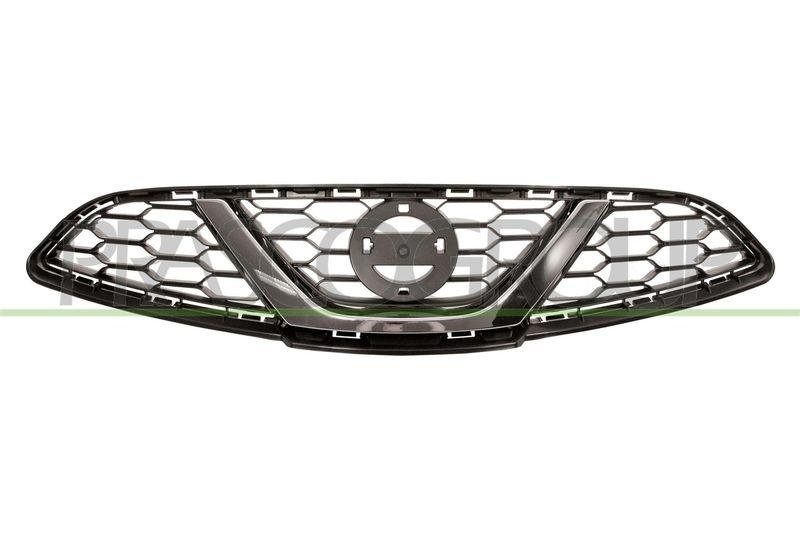 Radiator Grille Premium