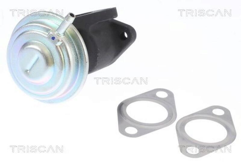 TRISCAN EGR Valve