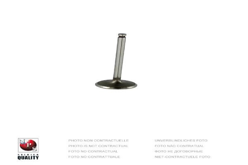 NPS Intake Valve