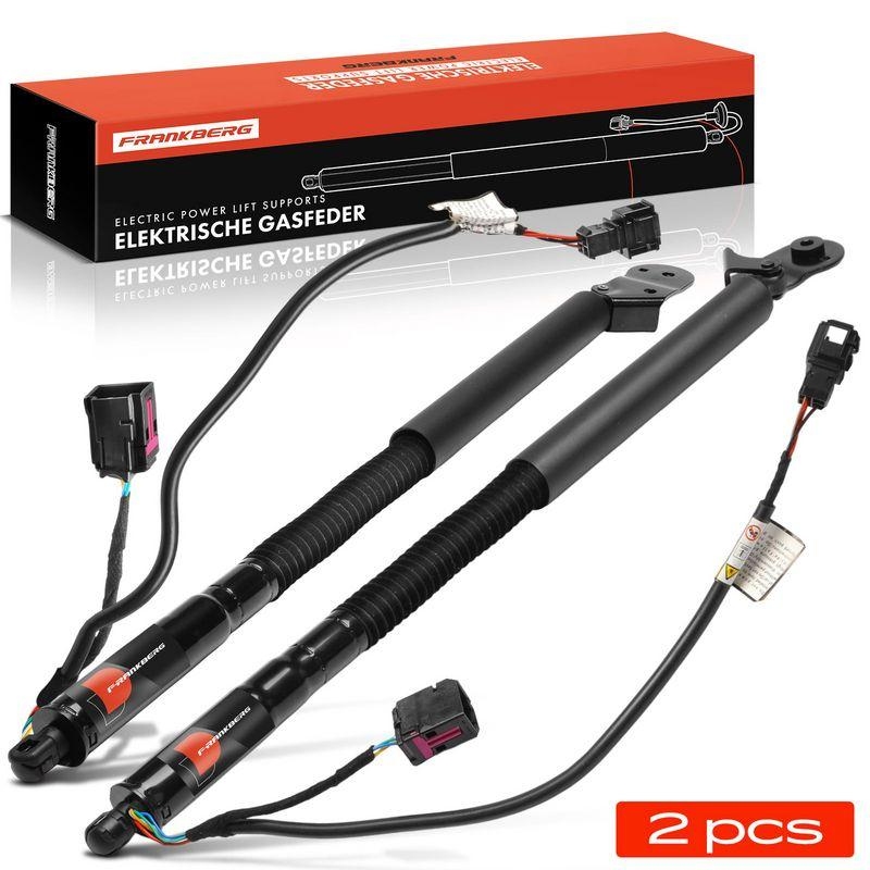 Frankberg Hydraulikpumpe, Lenkung