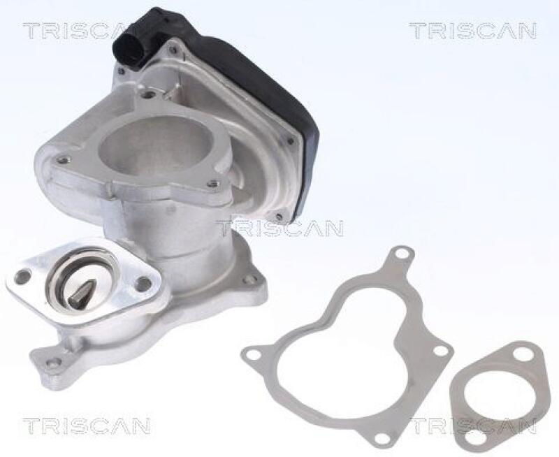 TRISCAN AGR-Ventil 8813 29019