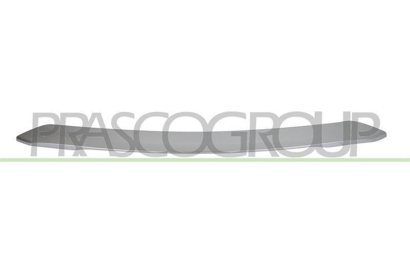 PRASCO Zier-/Schutzleiste, Stoßfänger
