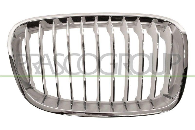 Radiator Grille