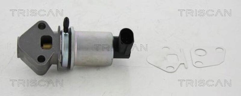 TRISCAN AGR-Ventil 8813 29024