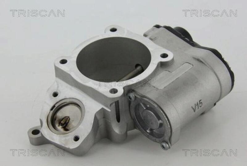 TRISCAN EGR Valve