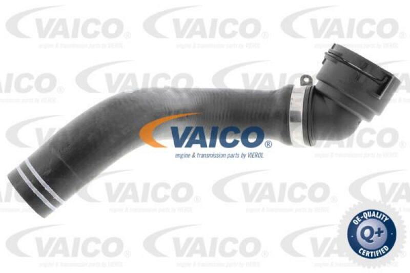 VAICO Radiator Hose Q+, original equipment manufacturer quality