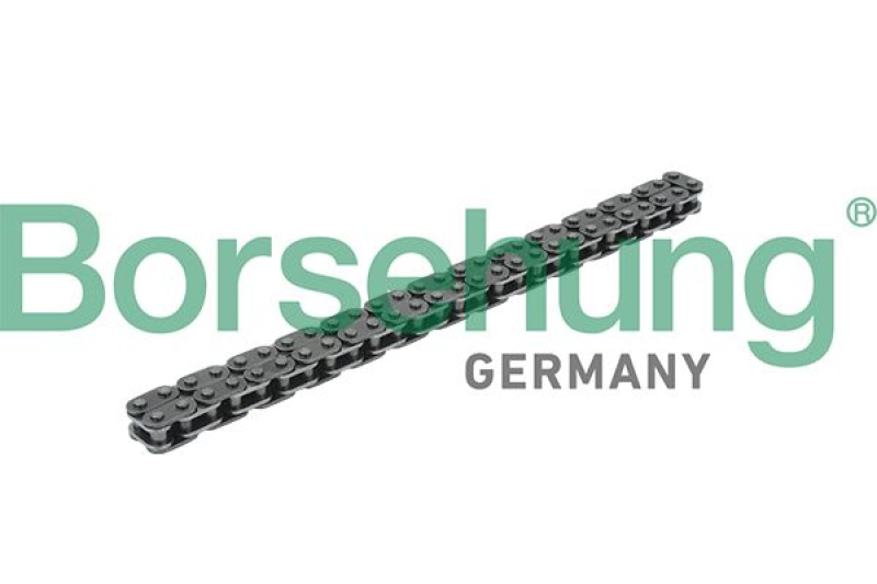 Borsehung Chain, oil pump drive