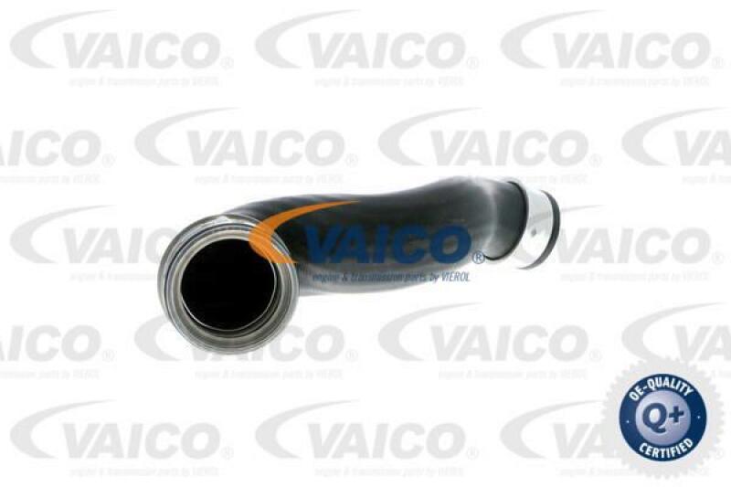VAICO Charger Air Hose Q+, original equipment manufacturer quality
