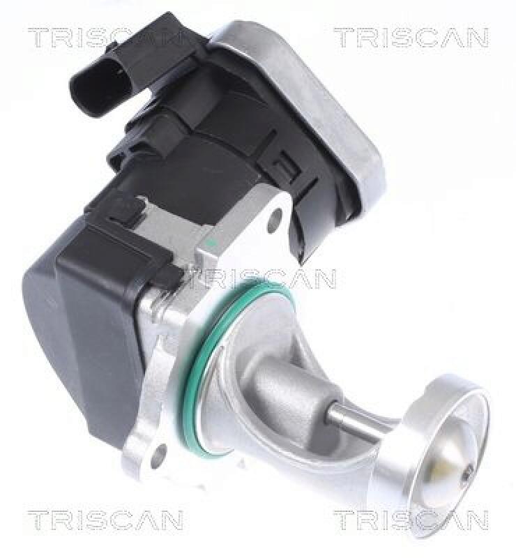 TRISCAN AGR-Ventil 8813 29043