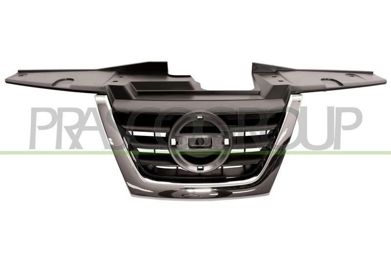 Radiator Grille