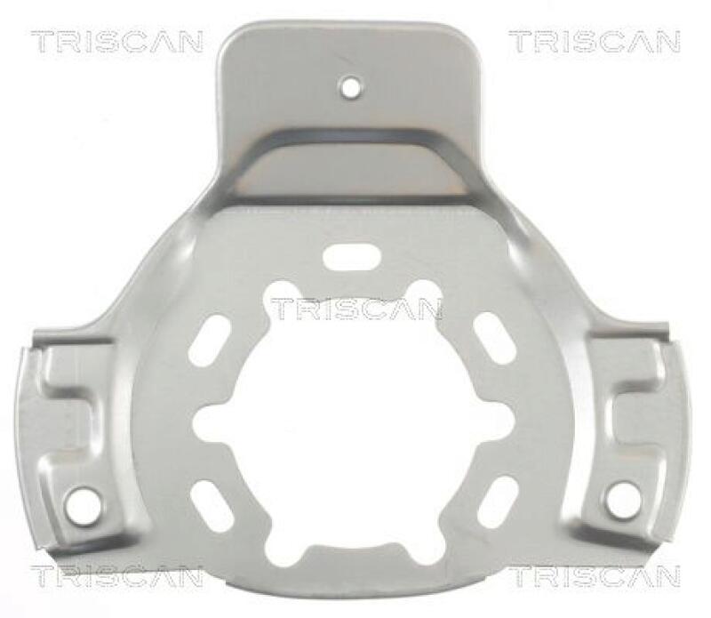 TRISCAN Splash Panel, brake disc