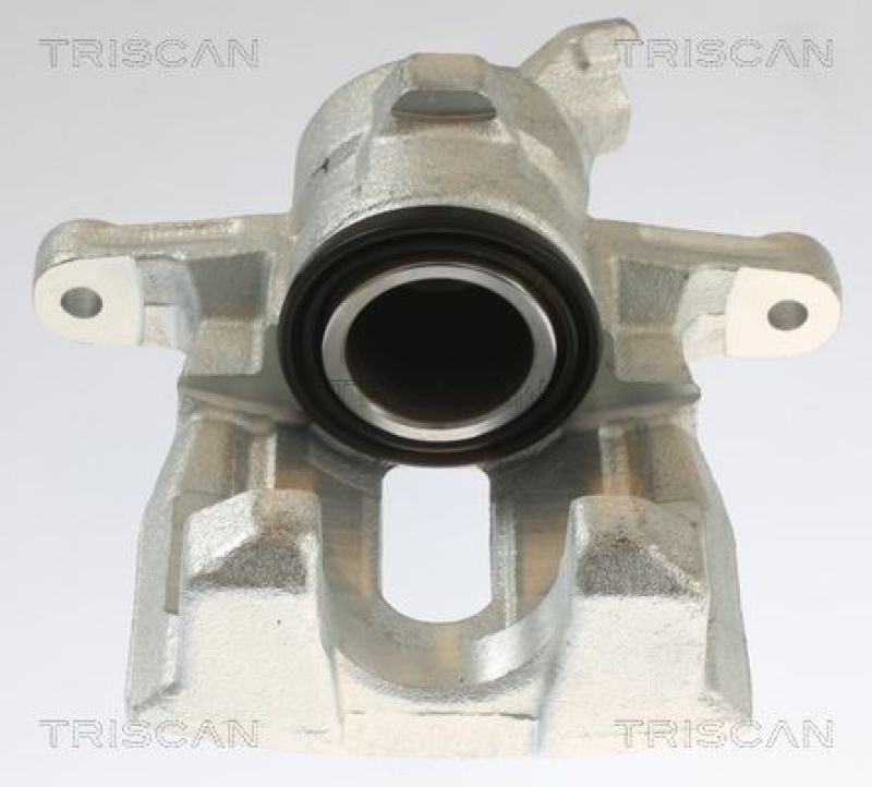 TRISCAN Bremssattel 8175 17202