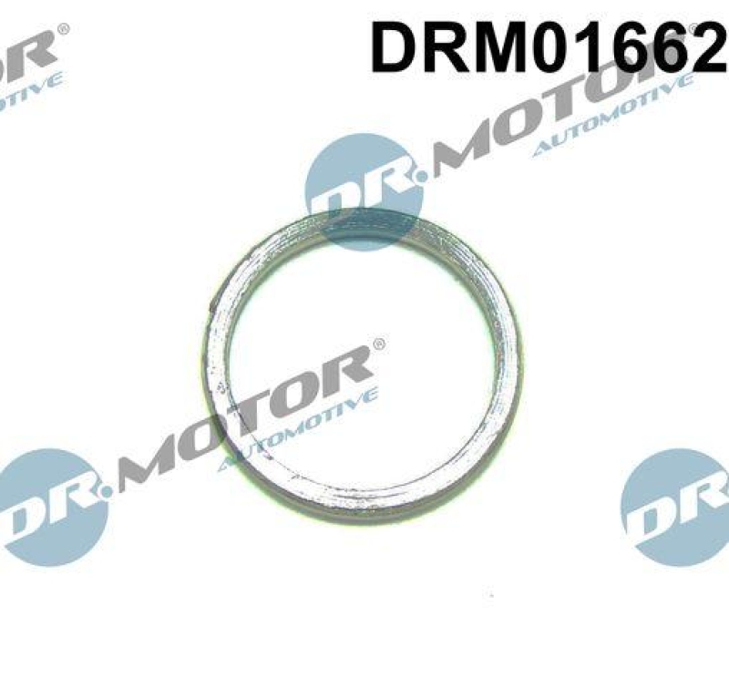 Dr.Motor Automotive Dichtung, Lader
