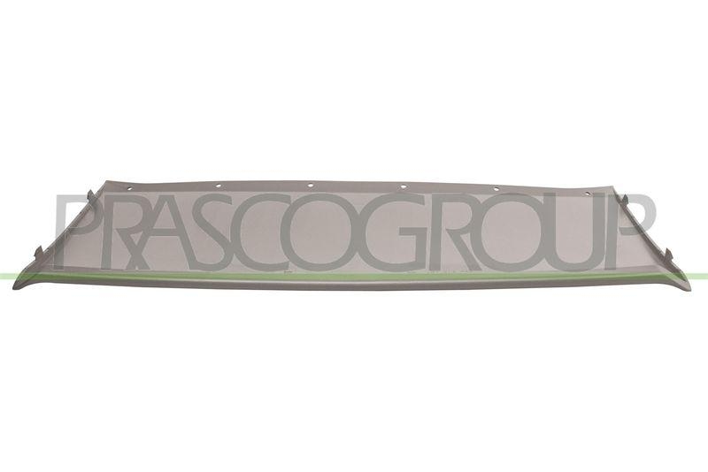 Trim/Protective Strip, bumper Premium