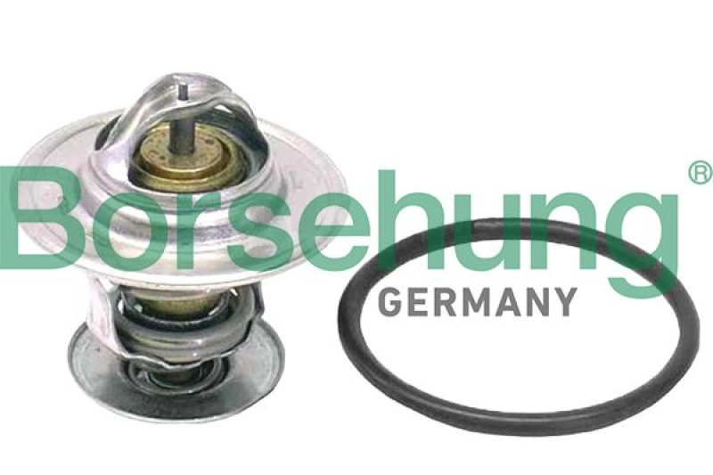 Borsehung Thermostat, coolant