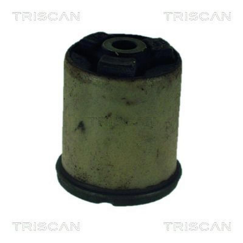 TRISCAN Mounting, axle beam