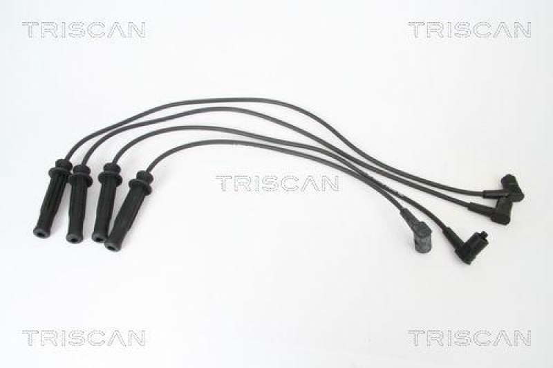 TRISCAN Z&uuml;ndleitungssatz 8860 17002