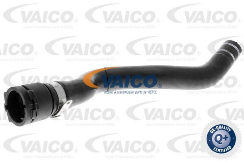 VAICO Radiator Hose Q+, original equipment manufacturer quality