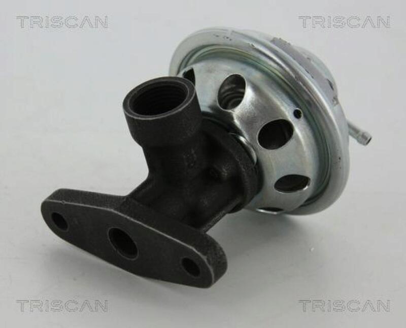 TRISCAN EGR Valve