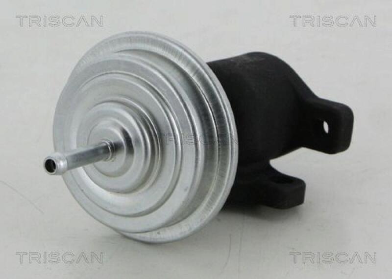 TRISCAN AGR-Ventil