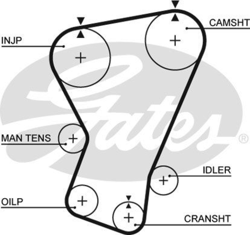 GATES Timing Belt PowerGrip&reg;