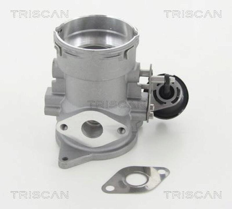 TRISCAN EGR Valve
