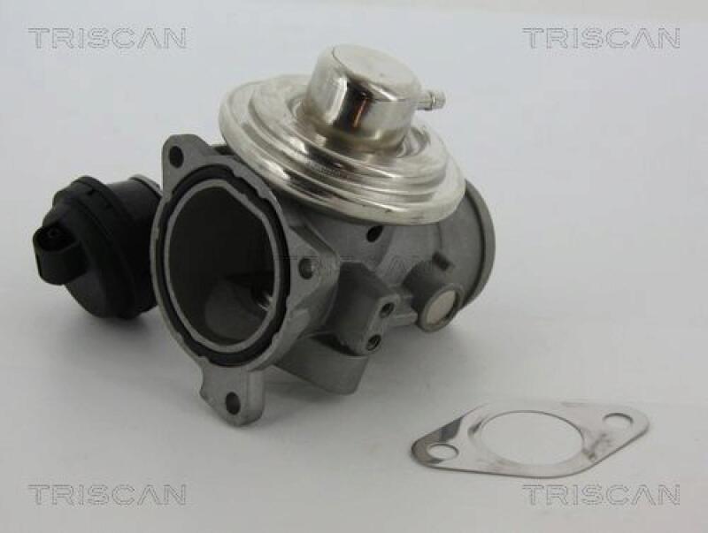TRISCAN EGR Valve