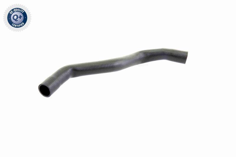VAICO Radiator Hose Q+, original equipment manufacturer quality