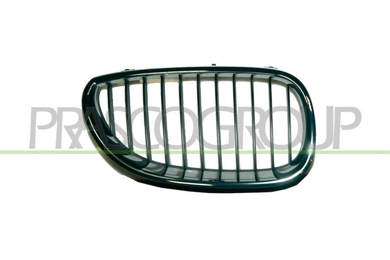 Radiator Grille Premium