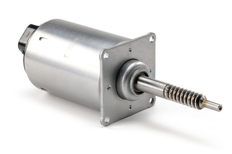 Stellelement, Exzenterwelle (variabler Ventilhub)