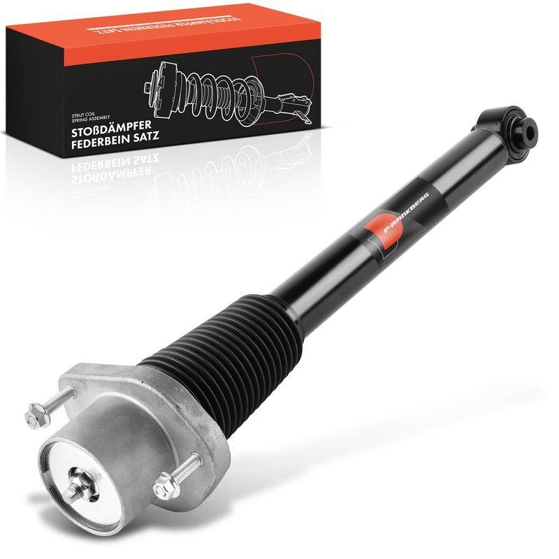 1x Frankberg Sto&szlig;d&auml;mpfer Hinterachse 5481FB0019620